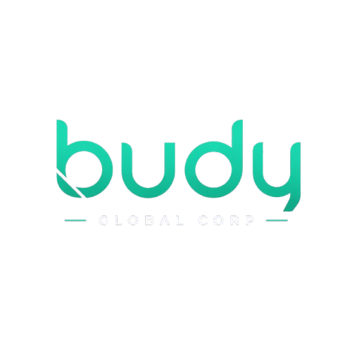 Logo Budy Global Corp